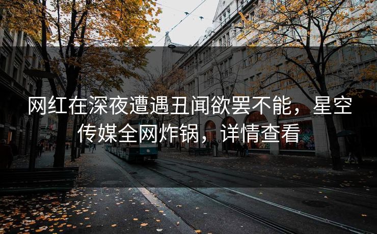 网红在深夜遭遇丑闻欲罢不能,星空传媒全网炸锅,详情查看 网红在深夜遭遇丑闻欲罢不能,星空传媒全网炸锅,详情查看
