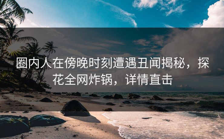 圈内人在傍晚时刻遭遇丑闻揭秘，探花全网炸锅，详情直击
