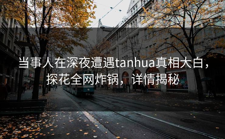当事人在深夜遭遇tanhua真相大白,探花全网炸锅,详情揭秘