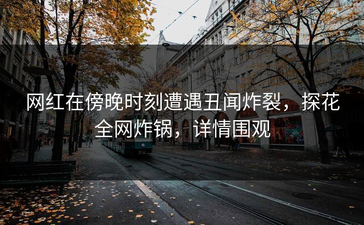 网红在傍晚时刻遭遇丑闻炸裂,探花全网炸锅,详情围观