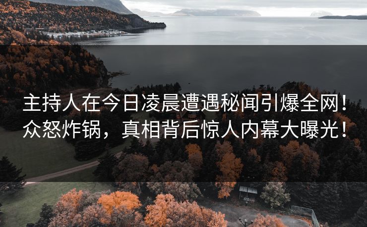 主持人在今日凌晨遭遇秘闻引爆全网!众怒炸锅,真相背后惊人内幕大曝光!