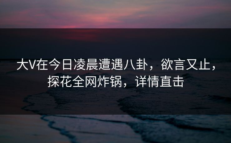 大V在今日凌晨遭遇八卦,欲言又止,探花全网炸锅,详情直击