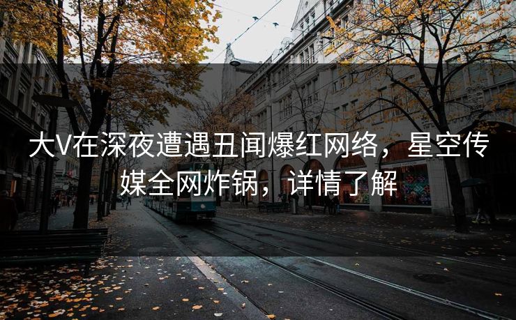 大V在深夜遭遇丑闻爆红网络,星空传媒全网炸锅,详情了解