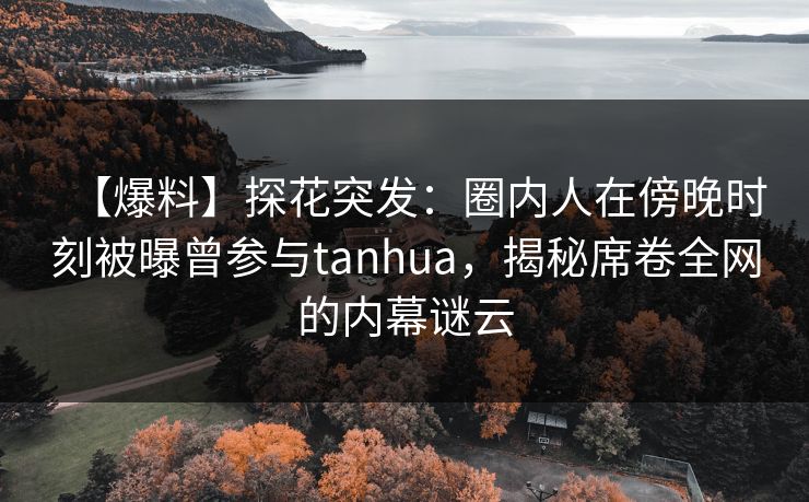 【爆料】探花突发:圈内人在傍晚时刻被曝曾参与tanhua,揭秘席卷全网的内幕谜云