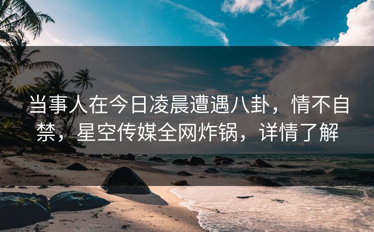 当事人在今日凌晨遭遇八卦,情不自禁,星空传媒全网炸锅,详情了解