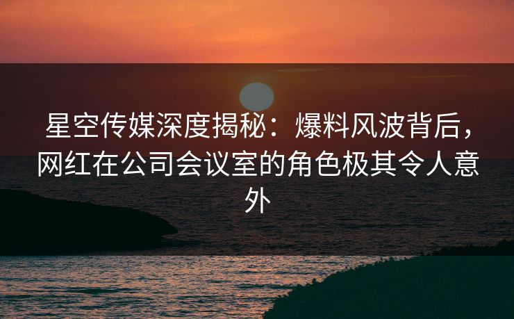 星空传媒深度揭秘:爆料风波背后,网红在公司会议室的角色极其令人意外
