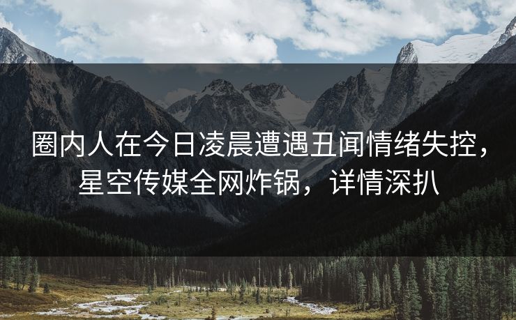 圈内人在今日凌晨遭遇丑闻情绪失控,星空传媒全网炸锅,详情深扒 圈内人在今日凌晨遭遇丑闻情绪失控,星空传媒全网炸锅,详情深扒