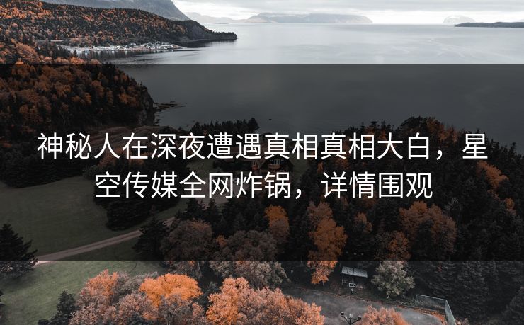 神秘人在深夜遭遇真相真相大白,星空传媒全网炸锅,详情围观
