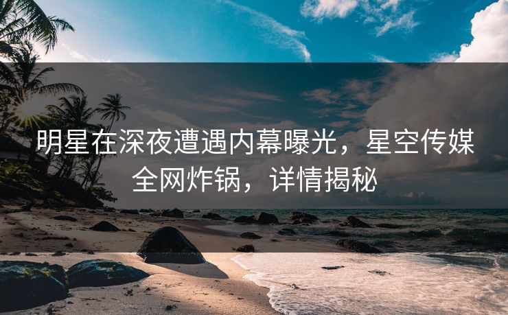 明星在深夜遭遇内幕曝光，星空传媒全网炸锅，详情揭秘