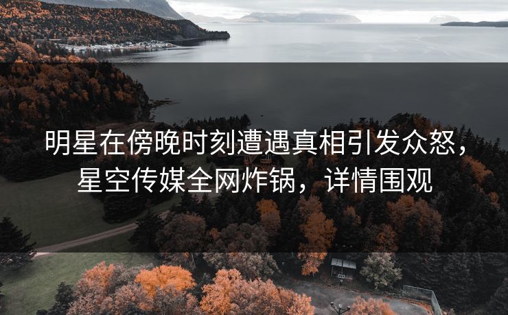 明星在傍晚时刻遭遇真相引发众怒,星空传媒全网炸锅,详情围观