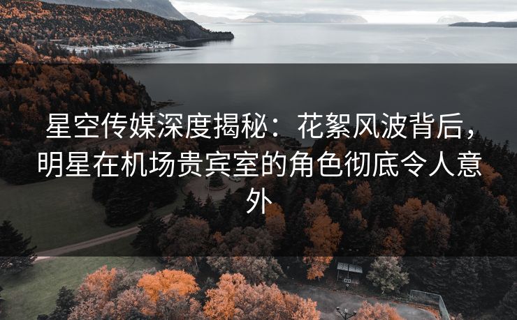 星空传媒深度揭秘:花絮风波背后,明星在机场贵宾室的角色彻底令人意外