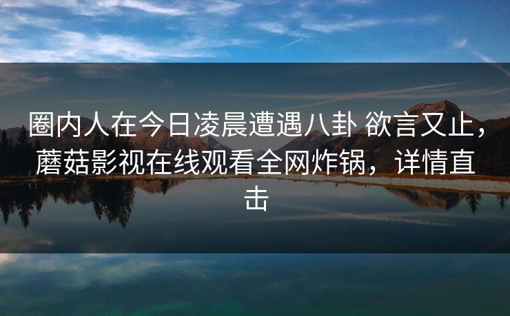 圈内人在今日凌晨遭遇八卦 欲言又止，蘑菇影视在线观看全网炸锅，详情直击